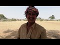 Habib vs goats at village