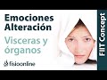 ¿Qué emociones alteran o enferman cada órgano y víscera?