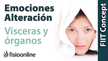 ¿En qué órganos se almacenan las emociones?