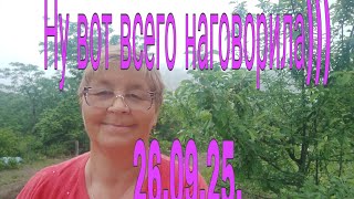 картинка: 26.09.25. Ну вот всего наговорила))) 