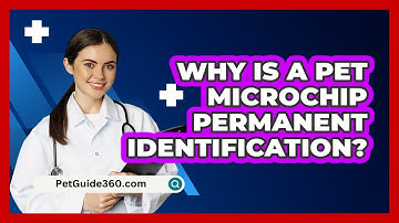 Why Is A Pet Microchip Permanent Identification?