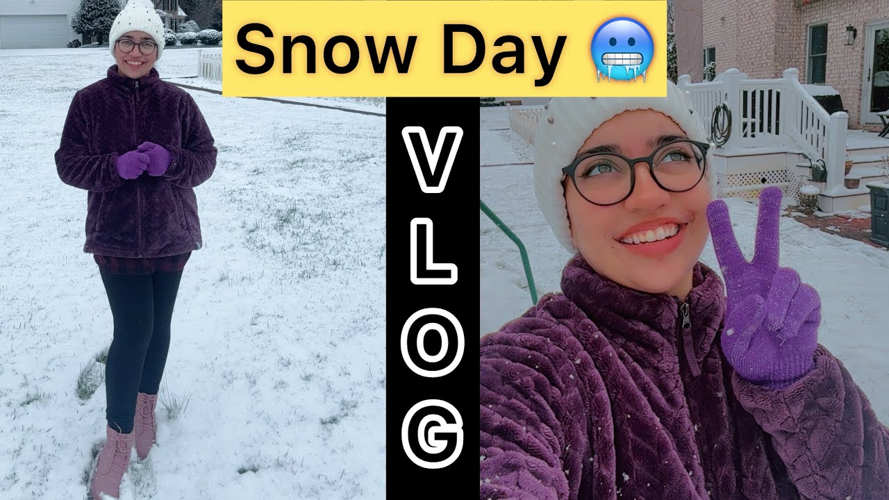 First Snow Day in America 🇺🇸❄️ | Desi Family Vlog | 