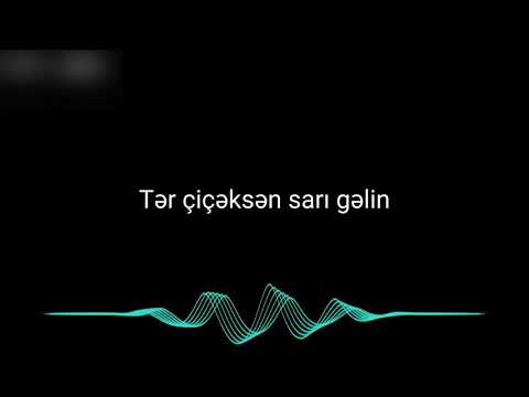 Sari gelin karaoke - Meydan Esgerov - Azerbaijani karaoke