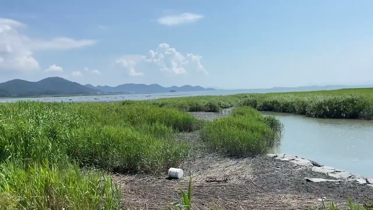 Suncheon - View of the bay 