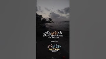 سورة الواقعة🤍🤍 #shortvideo #لايك #اكسبلور #القران_الكريم #المصحف #fyp #لايك #الرحمن