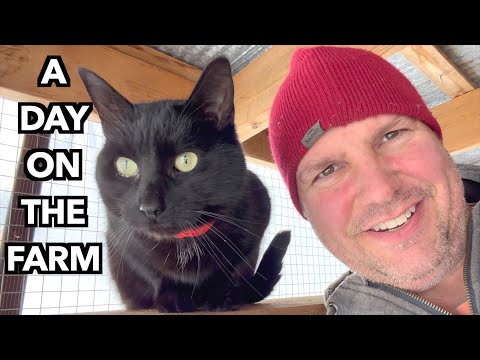 Winter Life on Our Small Farm