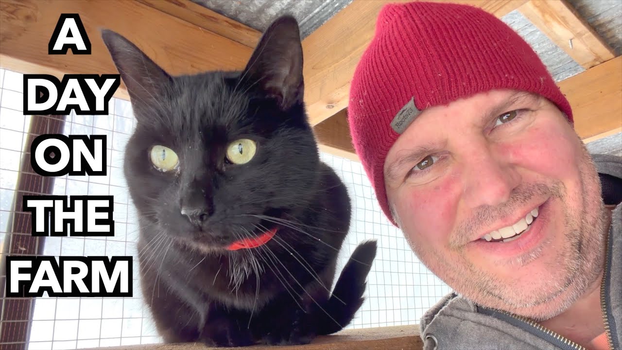 Winter Life on Our Small Farm