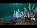 Subnautica Stream #16