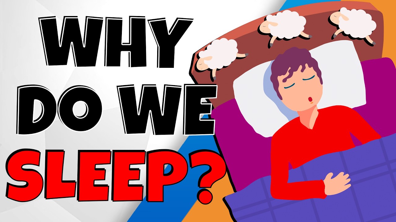 Why Do We Sleep?