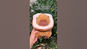 Website: CapyPlush.Store ! Link in Bio 🥰 Send this to your parents ‼️ #capybara #christmas