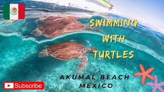 Swim with the Turtles | Akumal MEXICO 🇲🇽