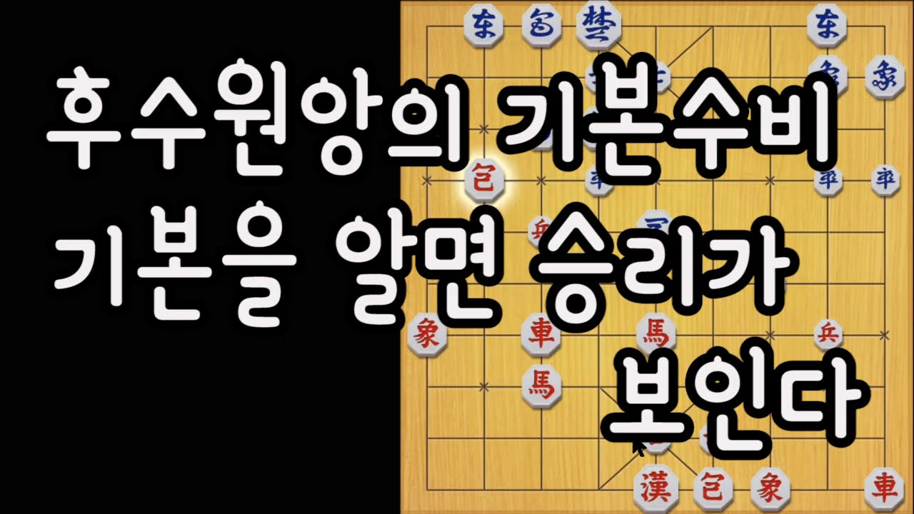 [기본수비]선수귀마를 상대하는 후수원앙의 기본적인 수비!!