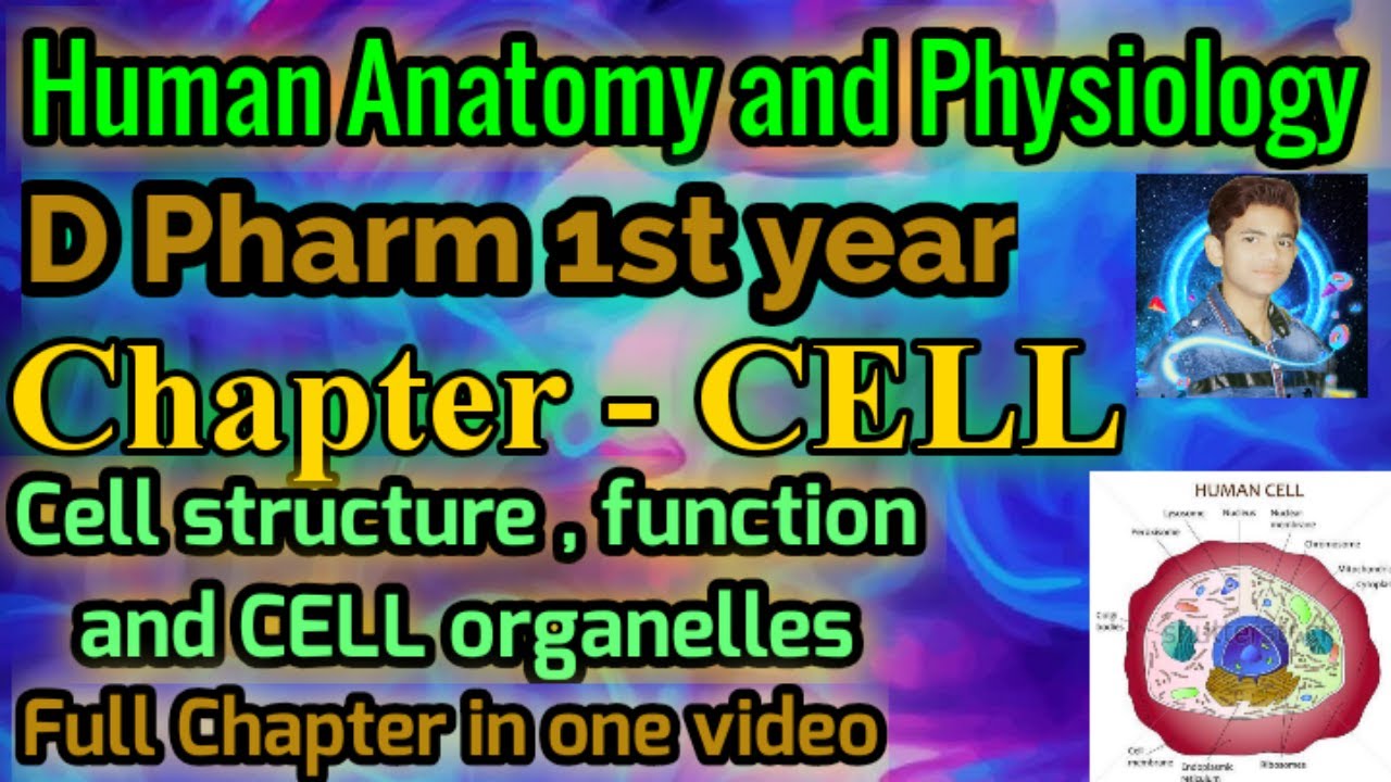 Human anatomy and physiology || D Pharm 1st year || Chapter - CELL , in ...
