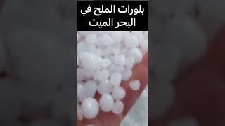 بلورات الملح في البحر الميت