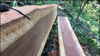 Aserrando tendales/STIHLms382/como aserrar cuando está reducido el terreno/sawing wood with chainsaw