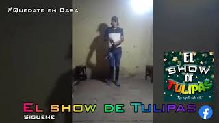 otro show tulipas (cómico tulipas)