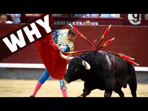 Is Seville Bullring Still Used