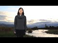 ふるさとの空 / 森高千里