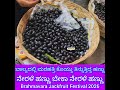 ಮರ ಹತ್ತಿ ಕೊಯ್ದು ತಿನ್ನುತ್ತಿತ್ತು; ಈಗ ದುಡ್ಡು ಕೊಟ್ಟು ತಿನ್ನಿ; Tasty ನೇರಳೆ ಹಣ್ಣು / Java Plum / BlackBerry