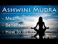 How to do ashwini mudra horse gesture in yoga benefits and contraindications