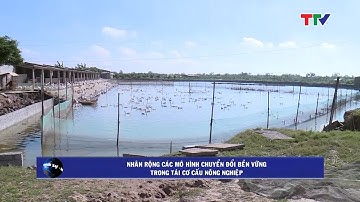 (TTV) Nhân rộng các mô hình chuyển đổi bền vững trong tái cơ cấu nông nghiệp