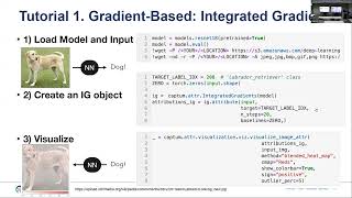XAI Tutorial | Application of XAI Toolkit for PyTorch | Soyeon Kim