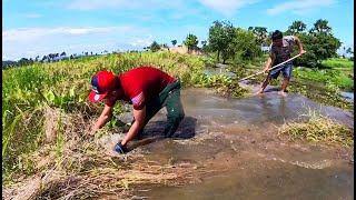 Activity Remove Floating Plants Clogged Massive Dam Drain Water By Hand