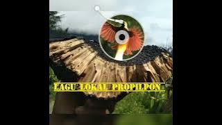 Lagu lokal sedih wamena pegunungan papua//PROPILPON//🎵🔊🎸