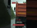 😍😺 Самый спокойный пассажир дня! Кот устроил поездку на самосвале  #новости #беларусь #viral #тренды
