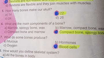 Exercise MCQs CH 13 support and Movement class 10 Biology ||