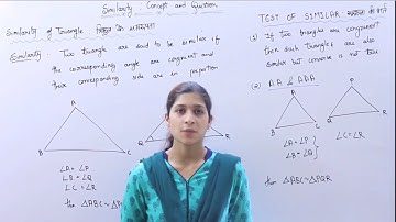 Similarity Of Triangle Part 1 ( त्रिभुज की समरूपता ) Concept Examples & Tricks | Triangle Similarity