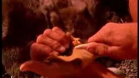 Part 1. Paiute Indian obsidian arrow heads of Owens Valley,