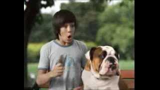 TVC Superstar 'Dog'