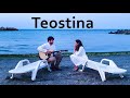 🌊 TEOSTINA - Noapte caldă (cover)