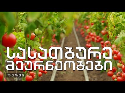 ფერმა - ორი ფერმერი - დამწყები და წარმატებული