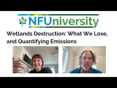 Wetlands Destruction: What We Lose, and Quantifying Emissions