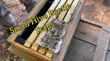Swiffer sheets for Small Hive Beetle traps