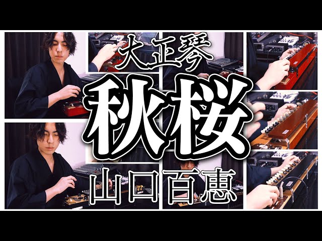 大正琴】秋桜 (山口百恵) - 高校生 cover / Japanese traditional