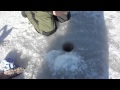 Tevzaoba kinulzeribalka peche sur glace