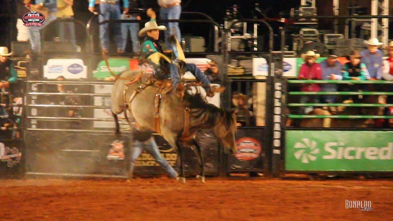 cavalos de raça Rodeio de Colorado 2018 - QUINTA FEIRA / MELHORES MONTARIAS EM CUTIANO