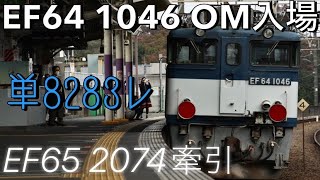 【列車配給】単8283レ EF64 1046 OM入場 EF65 2074牽引 @新座【#139 2021-11-16】