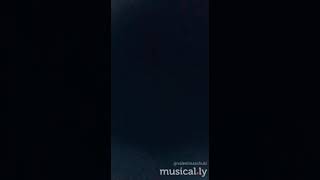 Musical.ly De Valentinaschulz