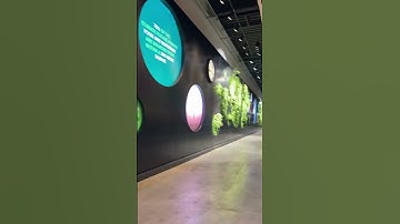 Thumbnail of Neat Display in Climate Pledge Arena 😮