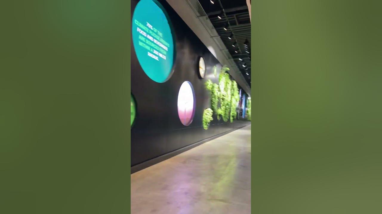 Neat Display in Climate Pledge Arena 😮