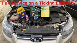 How to Service a Ford Focus 1.6 mk3 with Ticking Engine!