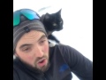 Sledding With A Cat