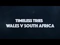 Wales v South Africa Top Tries | WRU TV