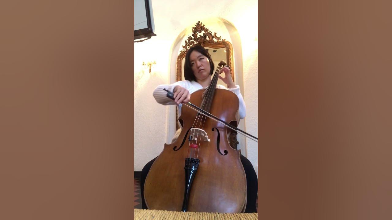 Bach Cello Suite n.2 Allemande in D Minor - BWV 1008