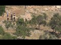 Settlers throw stones at Palestinians as Israeli soldiers stand by in the West Bank