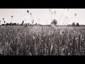 Kelsea Ballerini - overshare (ballerini album version) [Official Lyric Video]